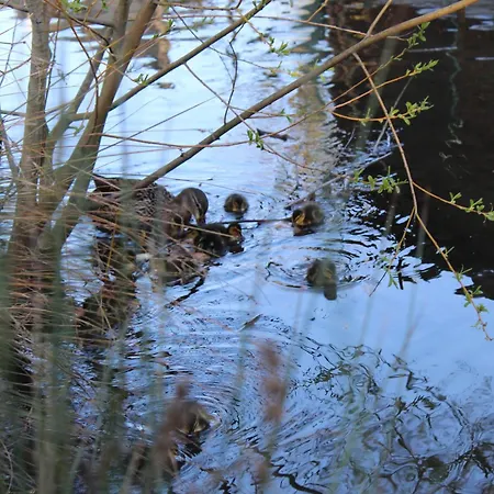 La Chabrouchine 3* Sainte-Savine